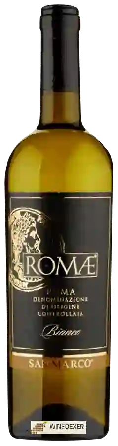 Weingut San Marco - Romæ Roma Bianco Weingut San Marco - Romæ Roma Bianco