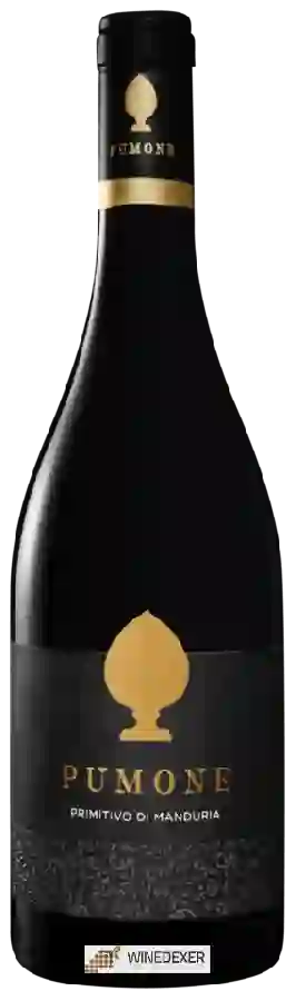 Weingut San Marzano - Pumone Primitivo di Manduria