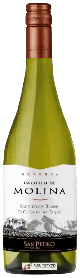 Weingut San Pedro - Castillo de Molina Sauvignon Blanc (Reserva)