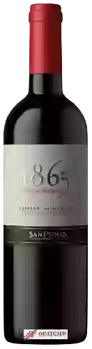 Weingut San Pedro - 1865 Selected Vineyards Cabernet Sauvignon