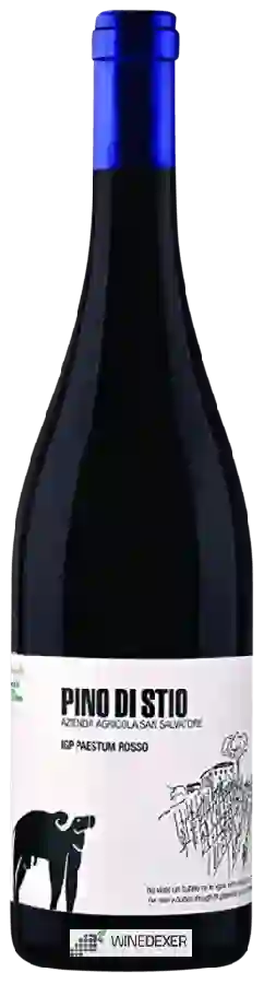 Weingut San Salvatore - Pino di Stio Paestum Rosso