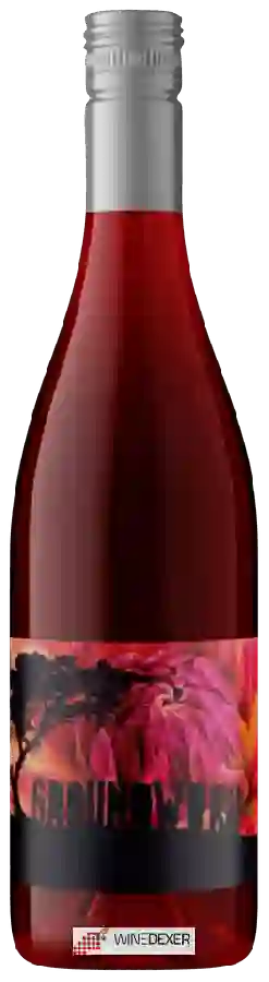 Weingut Sans Liege - Groundwork Counoise