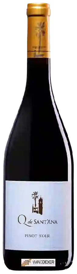 Weingut Quinta de Sant'Ana - Pinot Noir Weingut Quinta de Sant'Ana - Pinot Noir