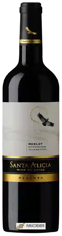 Weingut Santa Alicia - Merlot Reserva Weingut Santa Alicia - Merlot Reserva