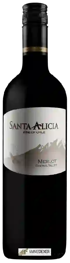 Weingut Santa Alicia - Merlot Weingut Santa Alicia - Merlot