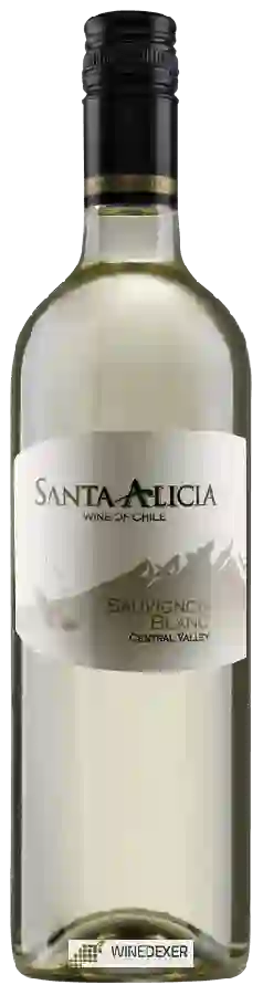 Weingut Santa Alicia - Sauvignon Blanc Weingut Santa Alicia - Sauvignon Blanc