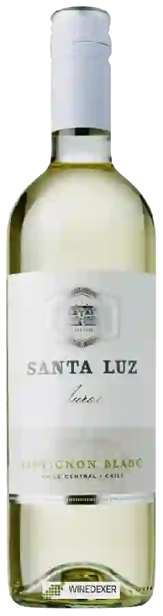 Weingut Santa Luz - Aurora Sauvignon Blanc