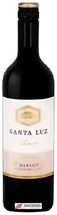 Weingut Santa Luz - Merlot Aurora Weingut Santa Luz - Merlot Aurora