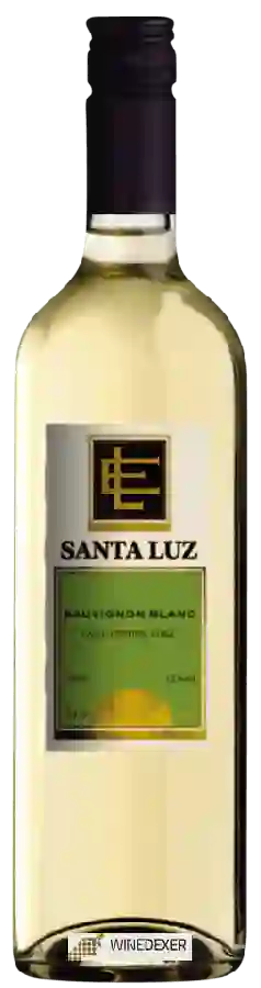 Weingut Santa Luz - Sauvignon Blanc