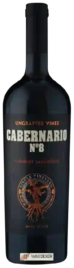 Weingut Santa Rita - Cabernario No 8 Single Vineyard Cabernet Sauvignon Weingut Santa Rita - Cabernario No 8 Single Vineyard Cabernet Sauvignon