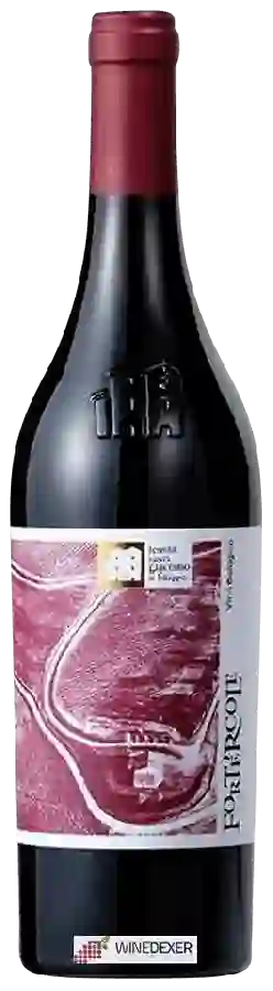 Weingut Santi Giacomo e Filippo - Fortercole Weingut Santi Giacomo e Filippo - Fortercole
