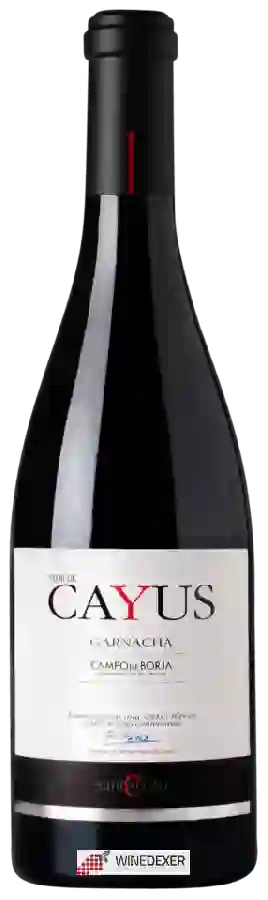 Weingut Santo Cristo - Flor de Cayus Selección Garnacha