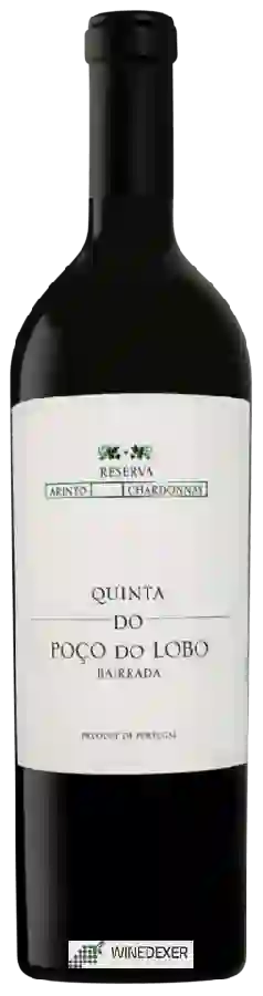 Weingut São João - Quinta do Poço do Lobo Arinto - Chardonnay Reserva Bairrada Weingut São João - Quinta do Poço do Lobo Arinto - Chardonnay Reserva Bairrada