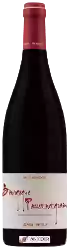 Weingut Sarnin Berrux - Bourgogne Passetoutgrain