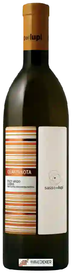 Weingut Sasso dei Lupi - Quartanota Pinot Grigio