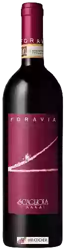 Weingut Scagliola - Foravia
