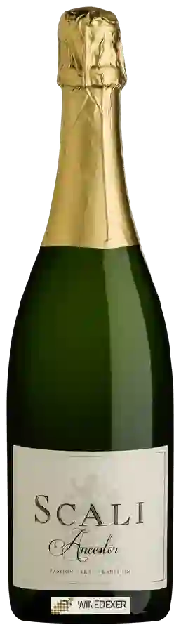 Weingut Scali - Ancestor Weingut Scali - Ancestor