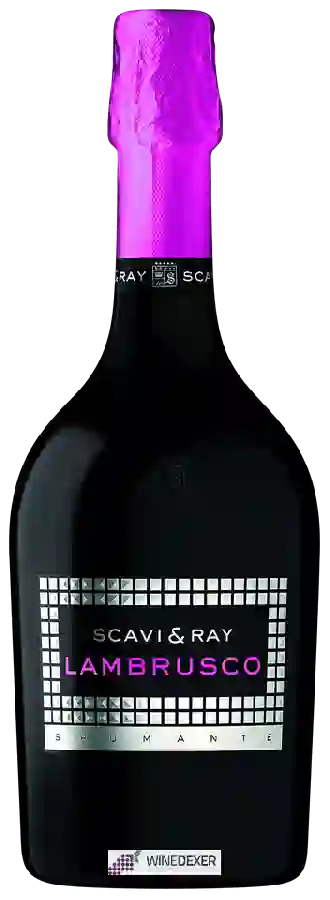 Weingut Scavi-Ray - Lambrusco Spumante Weingut Scavi-Ray - Lambrusco Spumante