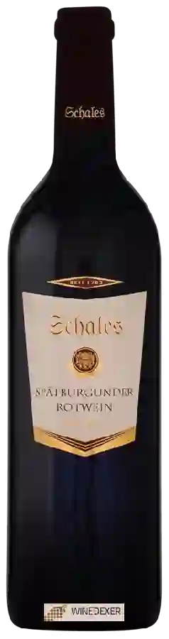 Weingut Schales - Spätburgunder Weingut Schales - Spätburgunder