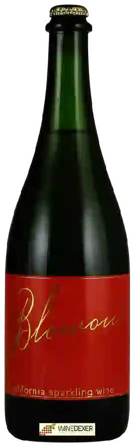 Weingut Scholium Project - Blowout Sparkling Weingut Scholium Project - Blowout Sparkling