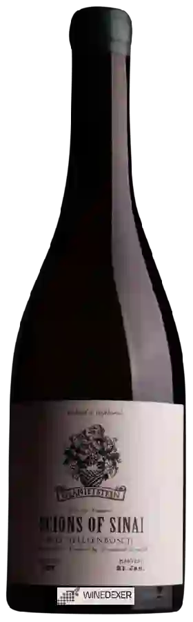 Weingut Scions of Sinai - Granietsteen