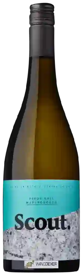 Weingut Scout - Pinot Gris