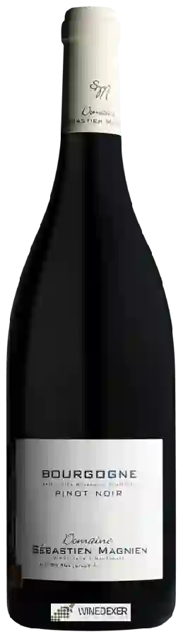 Weingut Sébastien Magnien - Bourgogne Pinot Noir