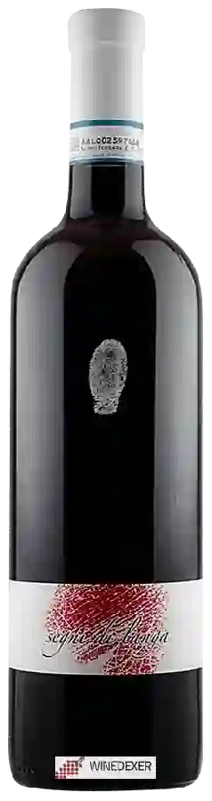 Weingut Segni di Langa - Pinot Nero Weingut Segni di Langa - Pinot Nero