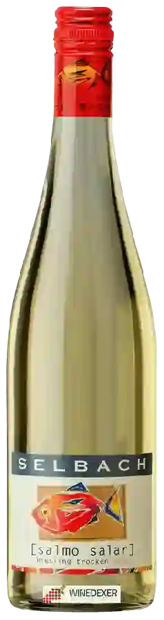 Weingut Selbach - Salmo Salar Riesling Trocken