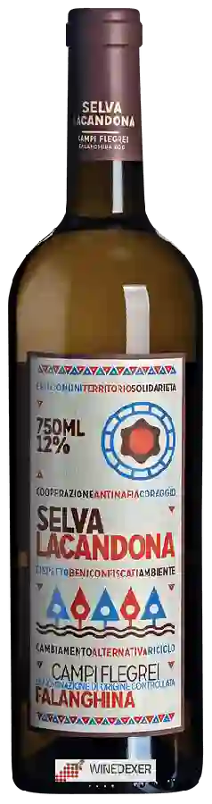 Weingut Selva Lacandona - Falanghina