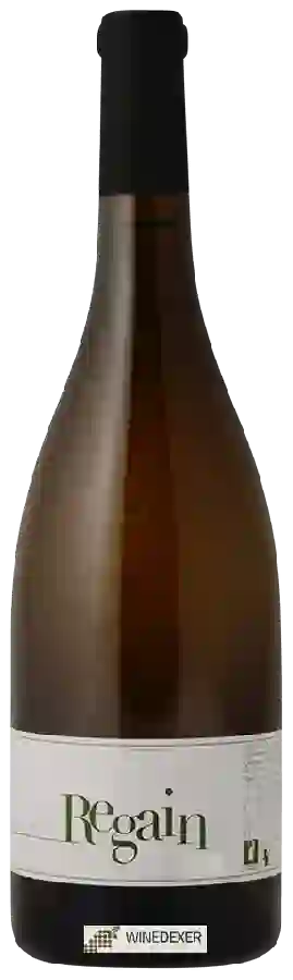 Weingut Semper - Regain