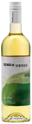 Weingut Senda Verde - Albariño
