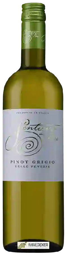 Weingut Sentiero dei Pini - Pinot Grigio Weingut Sentiero dei Pini - Pinot Grigio