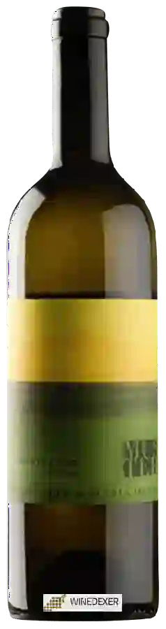 Weingut Sepp & Maria Muster - Sauvignon vom Opok Weingut Sepp & Maria Muster - Sauvignon vom Opok