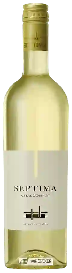 Weingut Séptima - Chardonnay