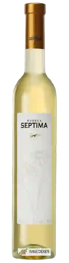 Weingut Séptima - Tardío