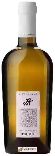 Weingut Setteanime - Pinot Grigio