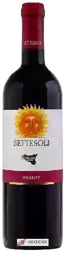 Weingut Settesoli - Merlot Sicilia