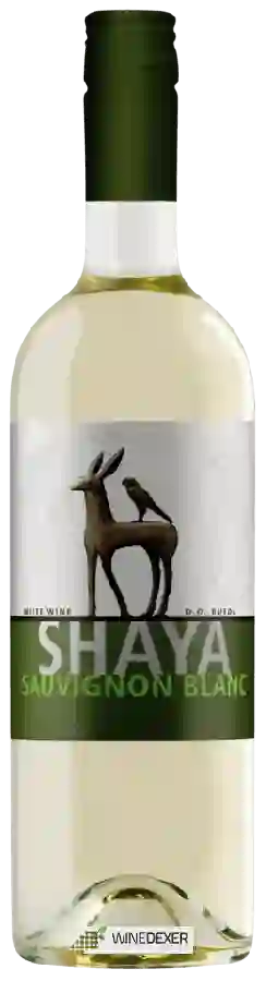 Weingut Shaya - Sauvignon Blanc Weingut Shaya - Sauvignon Blanc