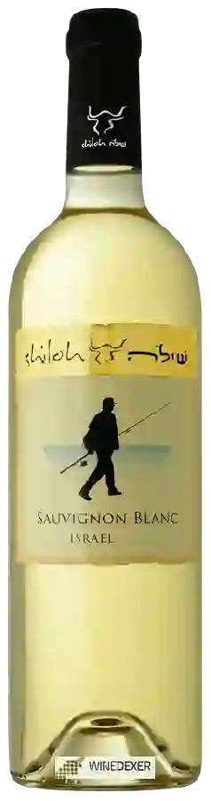 Weingut Shiloh - Sauvignon Blanc
