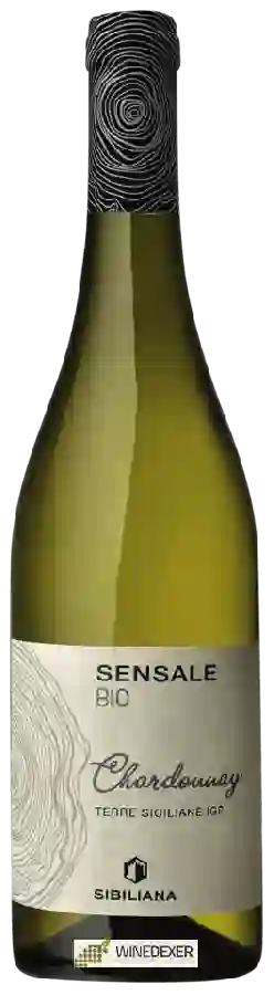 Weingut Sibiliana - Sensale Chardonnay Weingut Sibiliana - Sensale Chardonnay