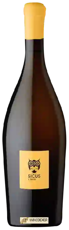 Weingut Sicus - C. Brisat