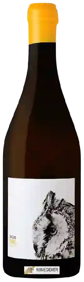 Weingut Sicus - Sons Cartoixá