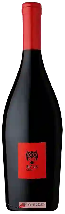 Weingut Sicus - Sumoll Weingut Sicus - Sumoll