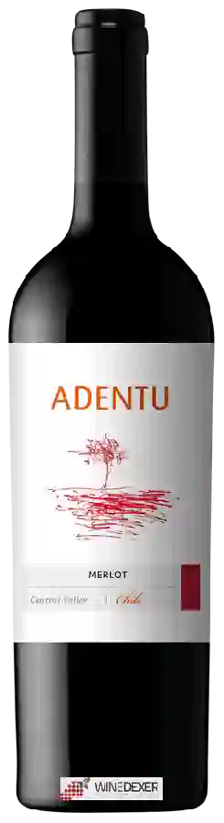 Weingut Siegel - Adentu Merlot