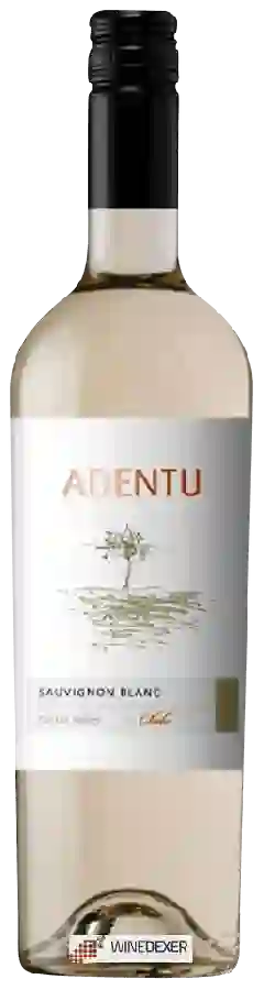 Weingut Siegel - Adentu Sauvignon Blanc Weingut Siegel - Adentu Sauvignon Blanc