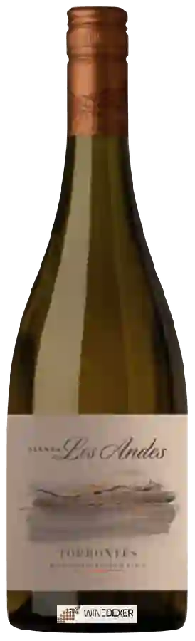 Weingut Sierra Los Andes - Torrontés Weingut Sierra Los Andes - Torrontés