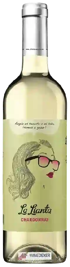 Weingut Siete Pasos - La Lianta Chardonnay Weingut Siete Pasos - La Lianta Chardonnay