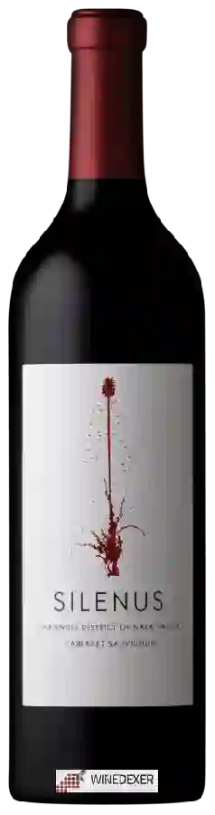 Weingut Silenus - Cabernet Sauvignon