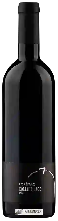 Le Petit Château - Les Cépages Colline 1789 Le Petit Château - Les Cépages Colline 1789